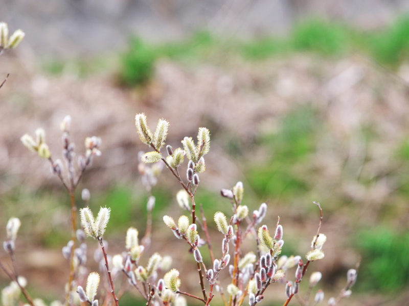 Patiently Persevering is Worth the&nbsp;Wait